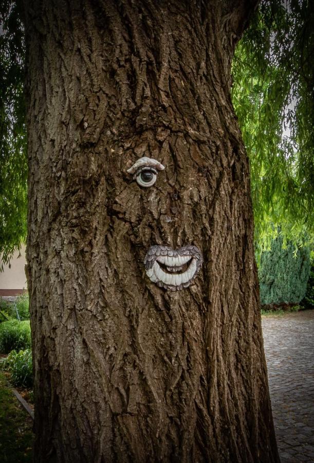 מלון וטשאו Storchennest Spreewald מראה חיצוני תמונה